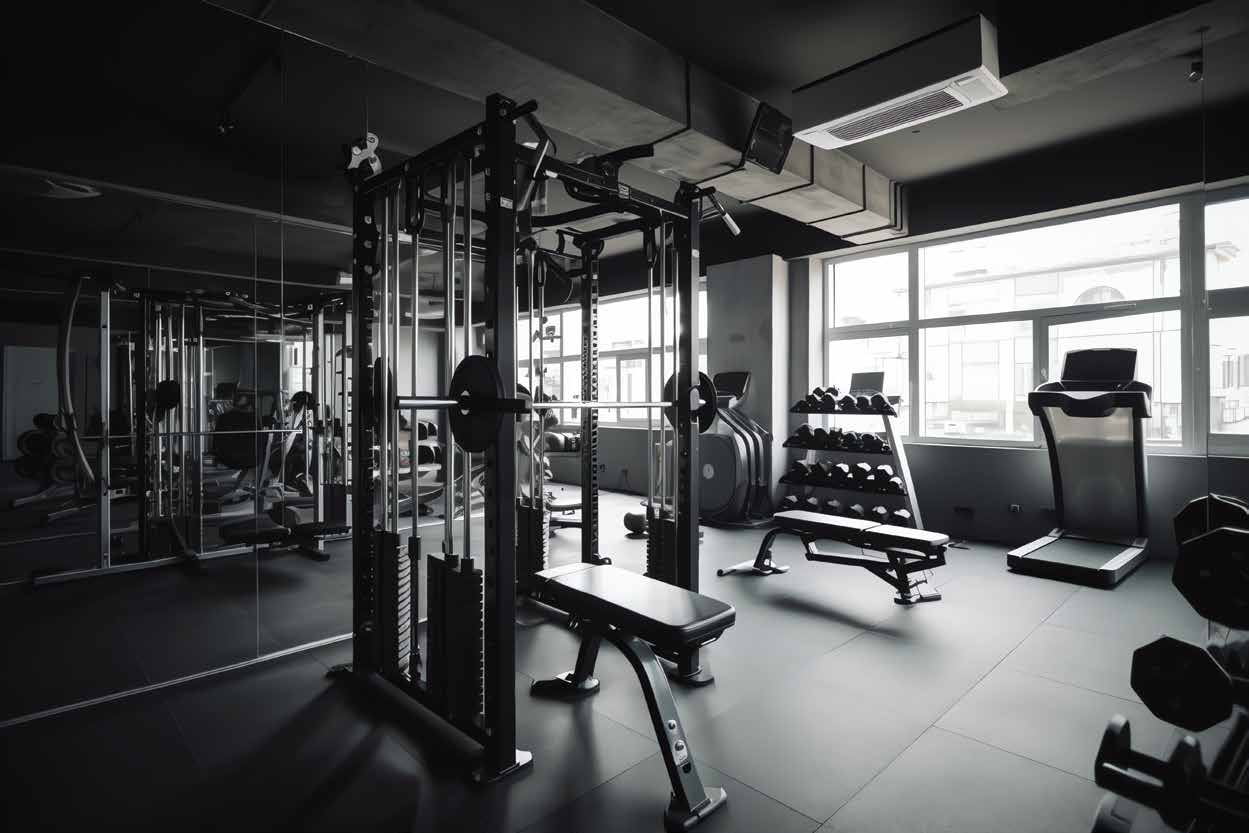 Professional gym environment