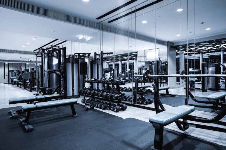 Strength equipment in a professional gym